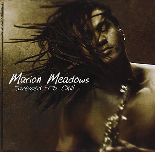 Album cover art for Dressed To Chill