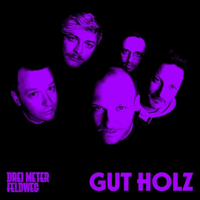 Album cover art for Gut Holz