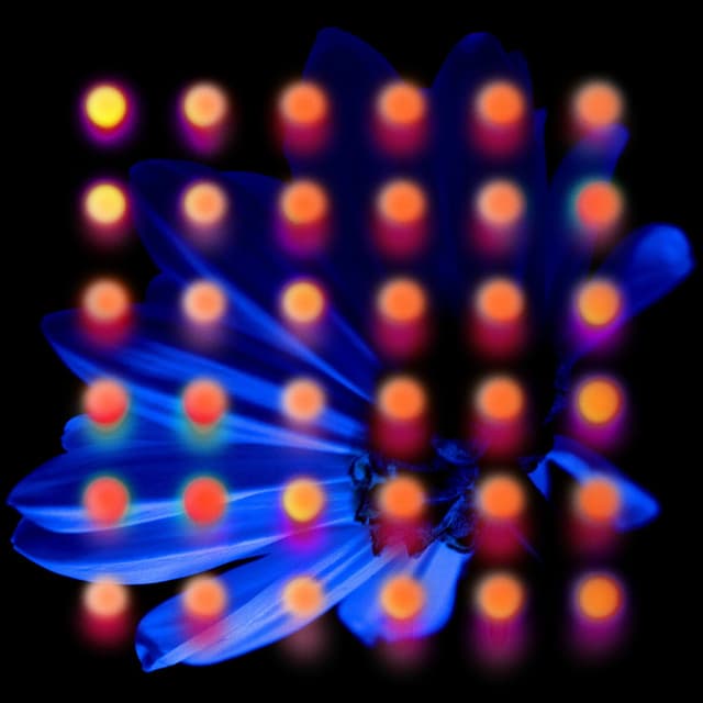 Album cover art for Nevertake