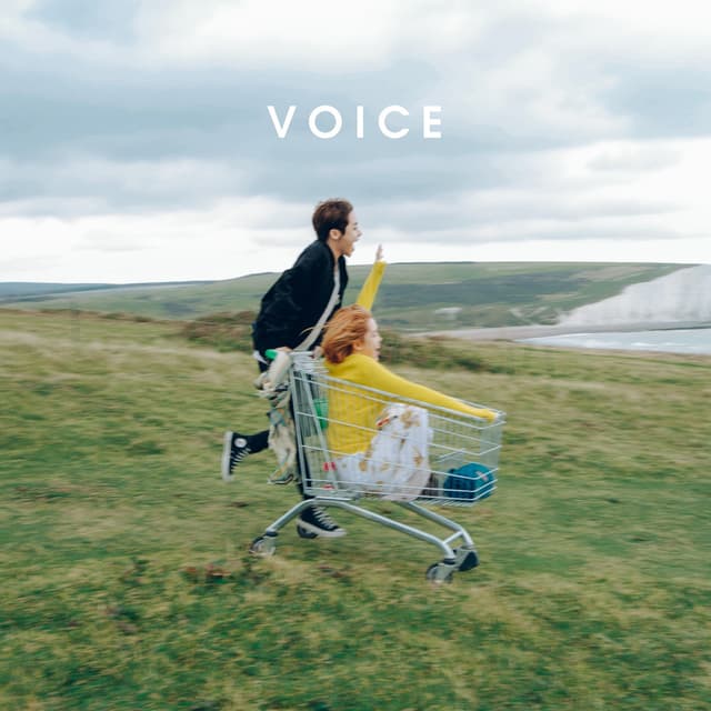 Album cover art for VOICE