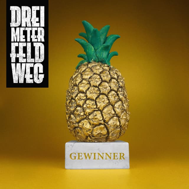 Album cover art for Gewinner