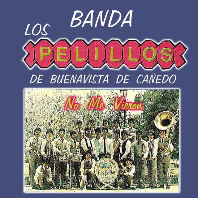 Album cover art for No Me Vieron