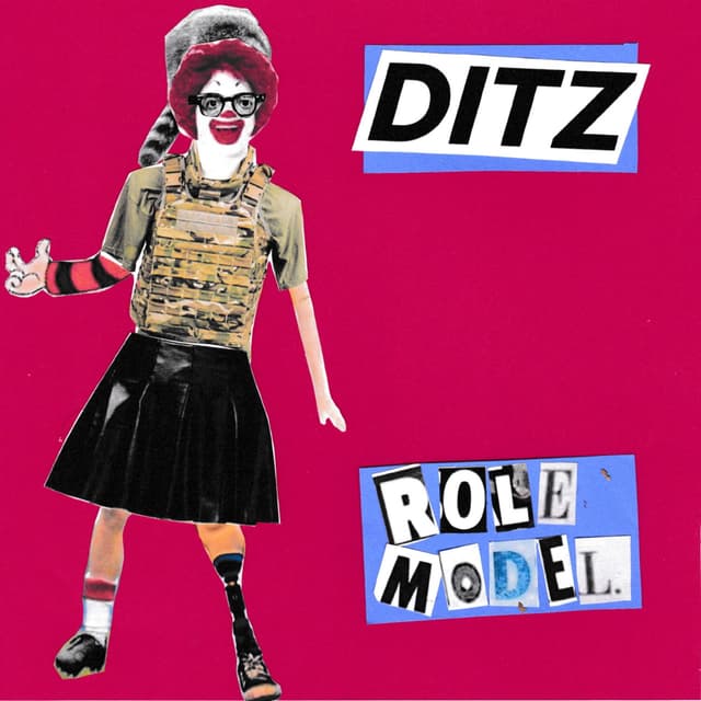 Album cover art for Role Model