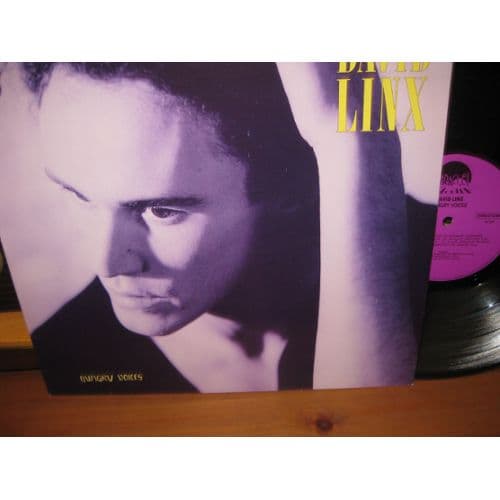 Album cover art for Hungry Voices