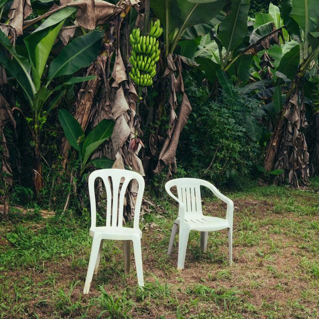 Album cover art for DeBÍ TiRAR MáS FOToS