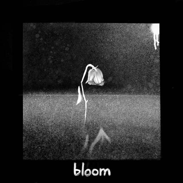 Album cover art for bloom