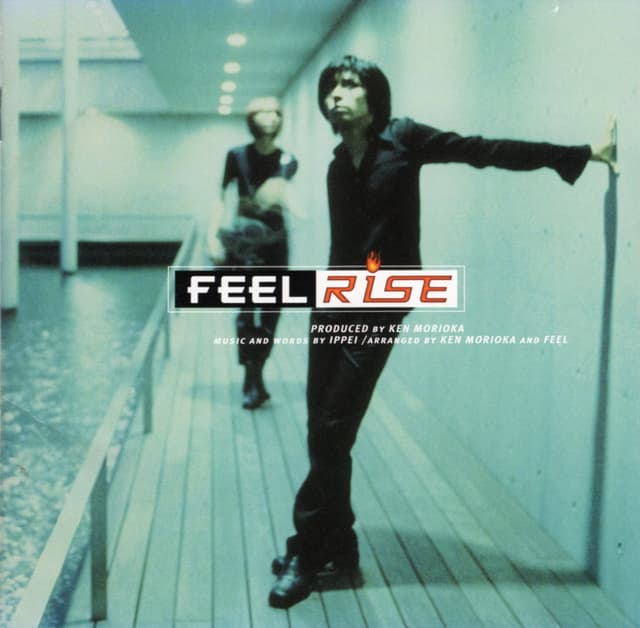 Album cover art for RISE