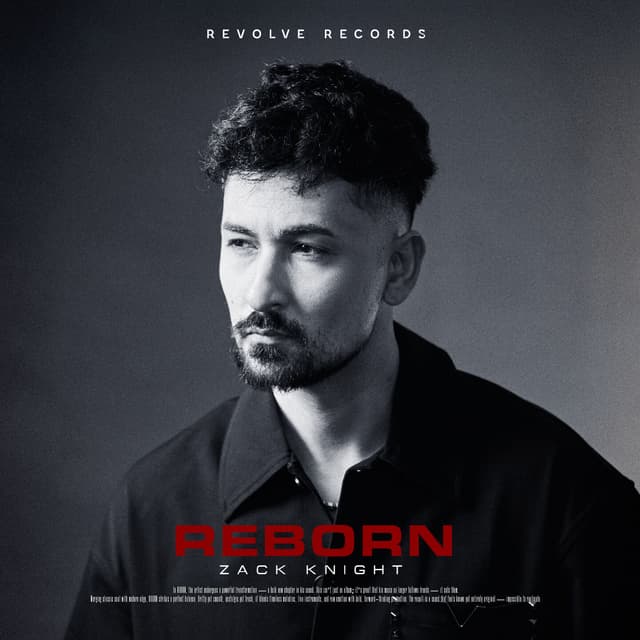 Album cover art for REBORN