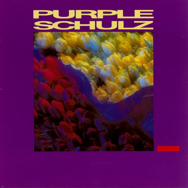 Album cover art for Purple Schulz