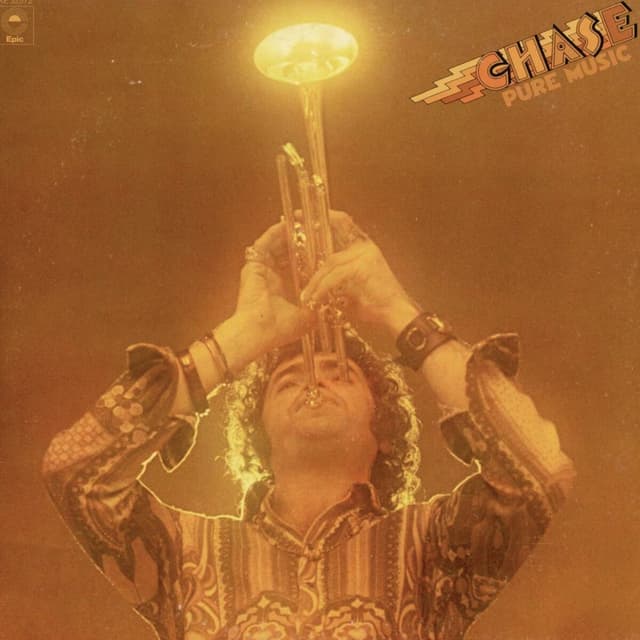 Album cover art for Pure Music