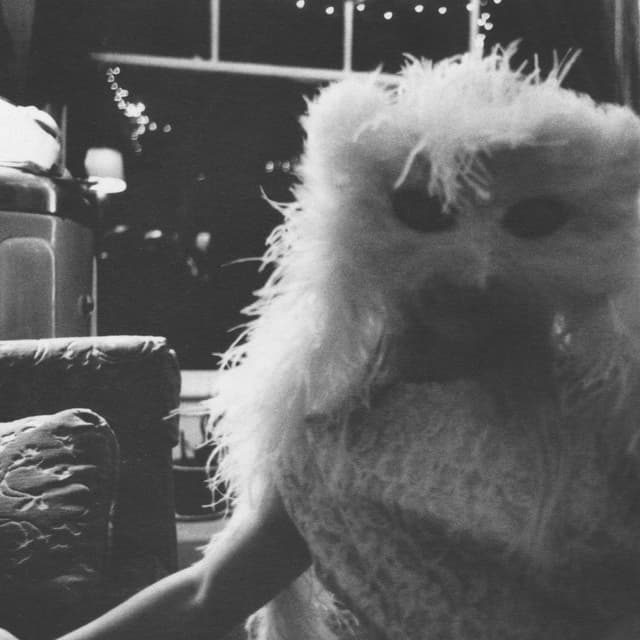 Album cover art for The Glory of Fruit Bats