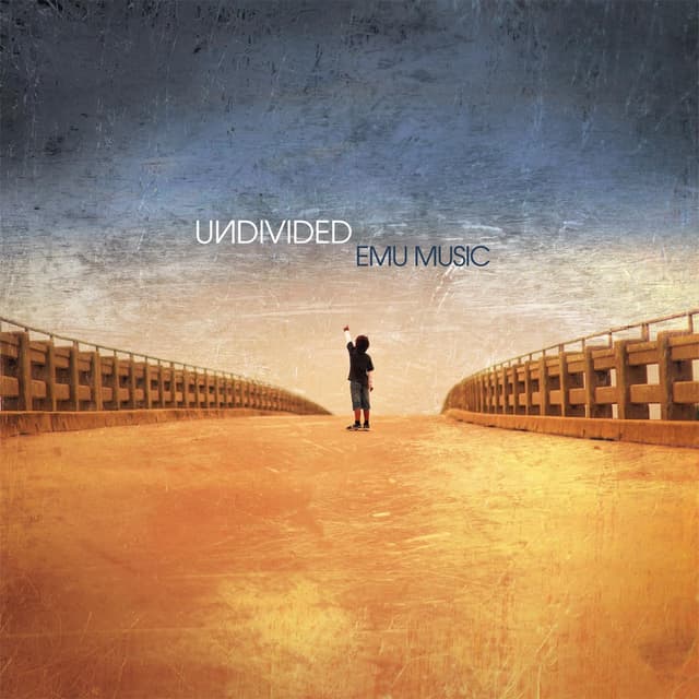 Album cover art for Undivided