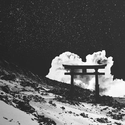 Album cover art for Falmani Sonte