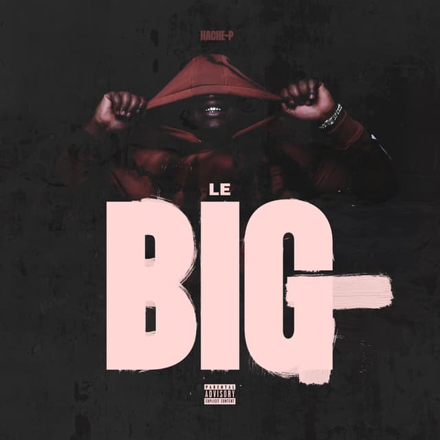 Album cover art for Le Big