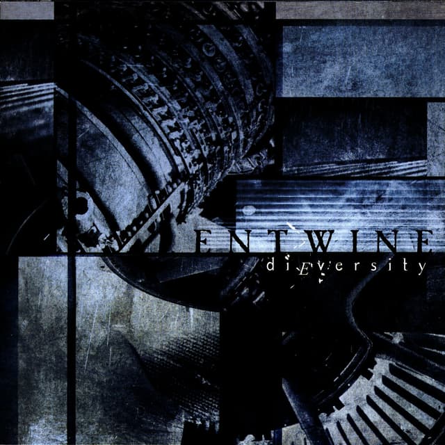 Album cover art for Dieversity