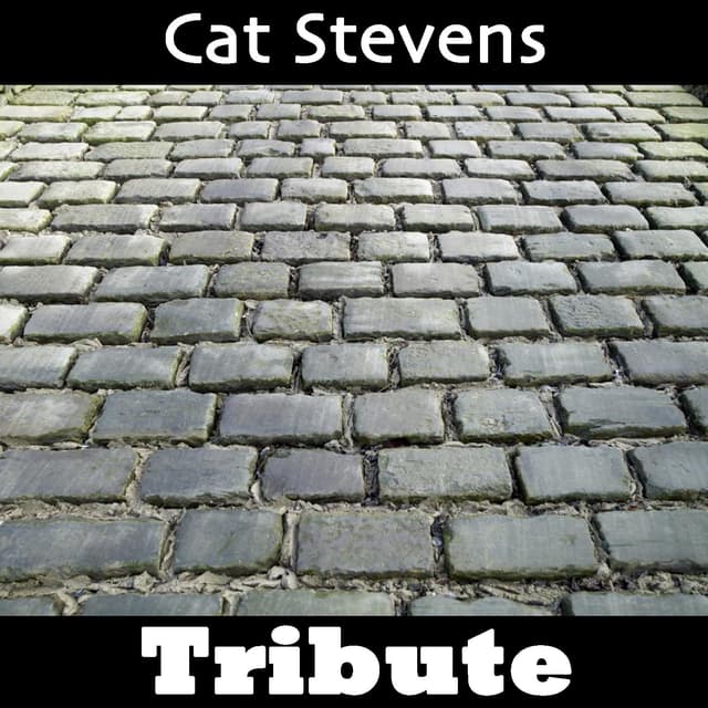 Album cover art for Wild World: Tribute To Cat Stevens