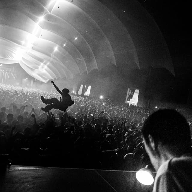 Album cover art for USB