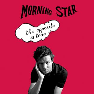 Album cover art for The Opposite is True