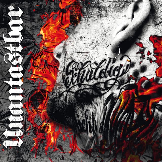 Album cover art for Schuldig