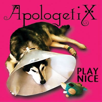 Album cover art for Play Nice