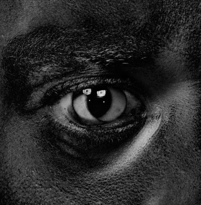 Album cover art for Evolve or Be Extinct