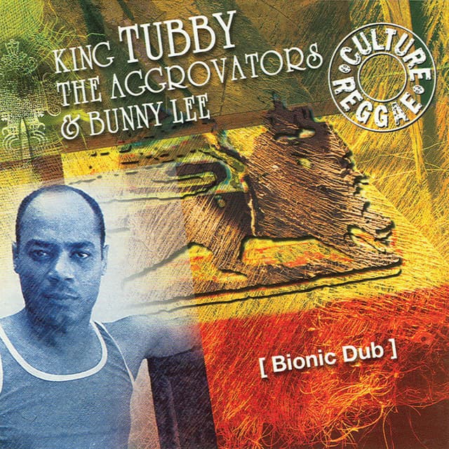 Album cover art for Bionic Dub