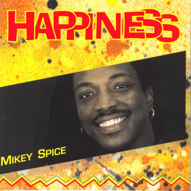 Album cover art for Happiness