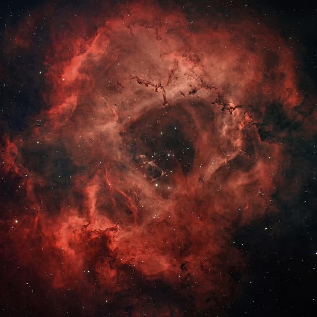 Album cover art for ROSETTE