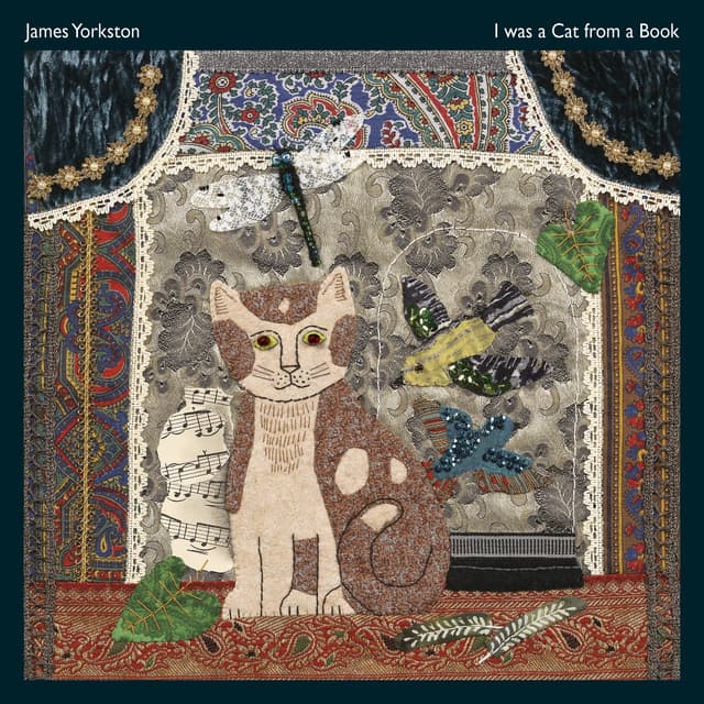 Album cover art for I Was a Cat from a Book