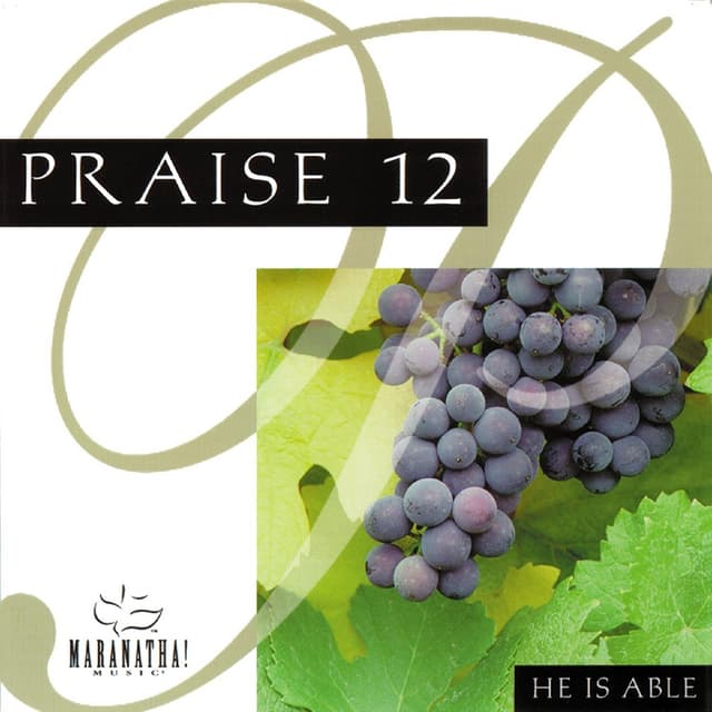 Album cover art for Praise 12 - He Is Able