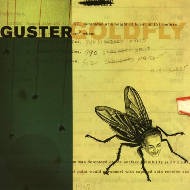 Album cover art for Goldfly