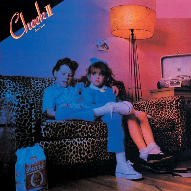 Album cover art for Cheek Ⅱ