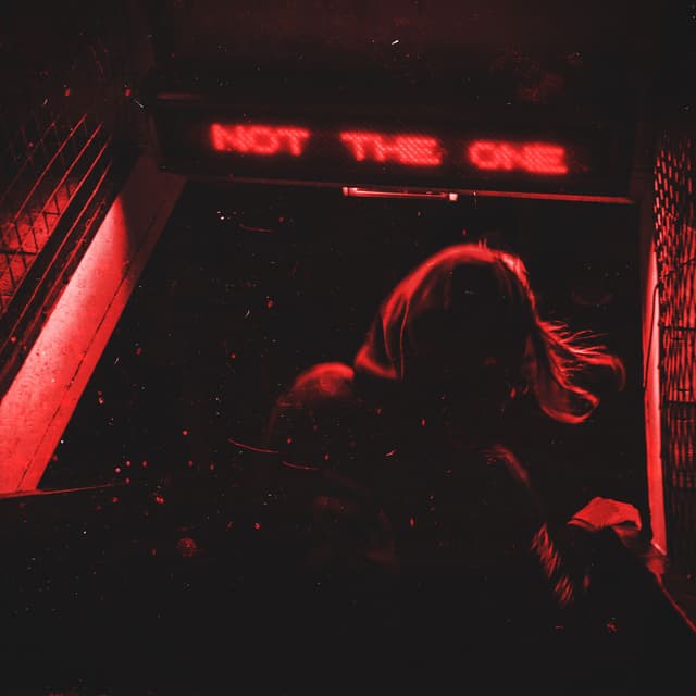 Album cover art for Not The One
