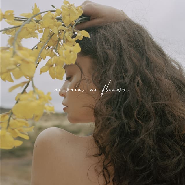 Album cover art for No Rain, No Flowers