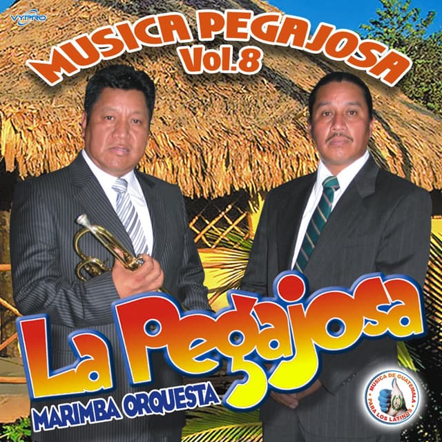 Album cover art for Música Pegajosa Vol. 8. Música de Guatemala para los Latinos