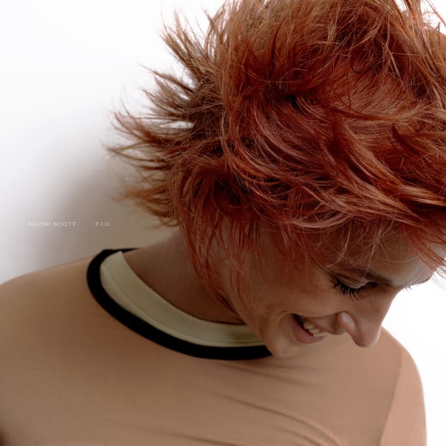 Album cover art for F.I.G