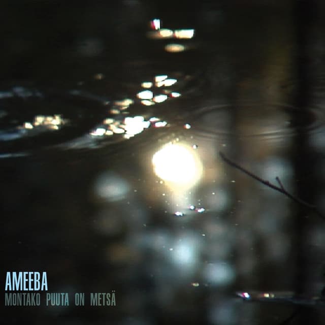 Album cover art for Montako Puuta On Metsä