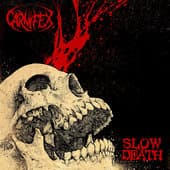 Album cover art for Slow Death
