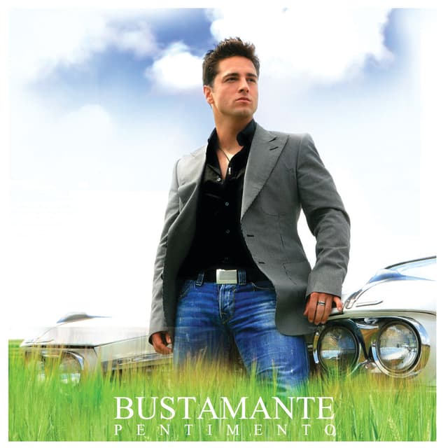 Album cover art for Pentimento