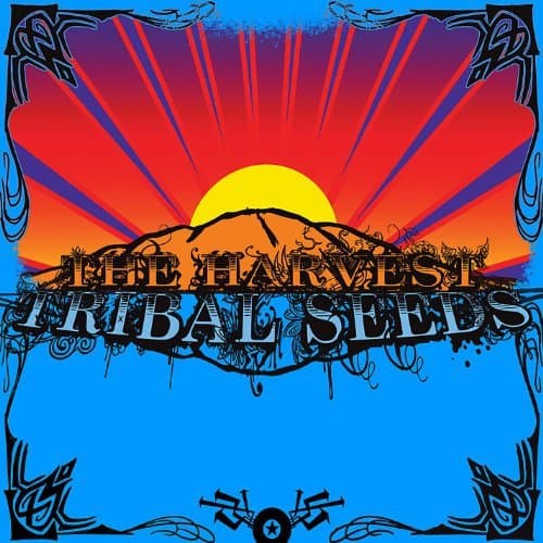 Album cover art for The Harvest