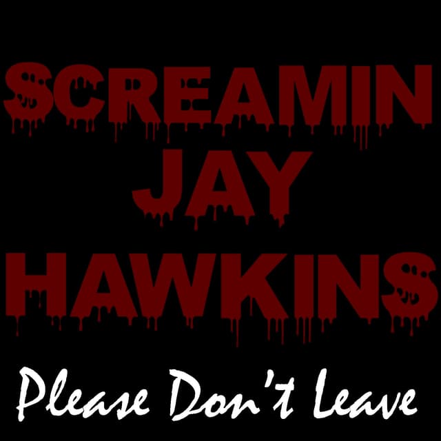 Album cover art for Please Don't Leave