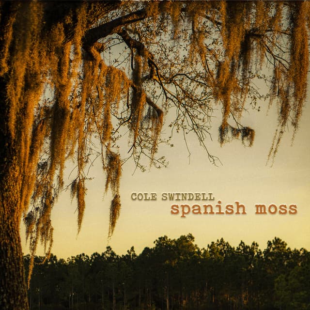 Album cover art for Spanish Moss