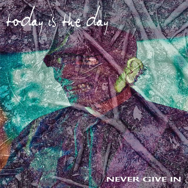 Album cover art for Never Give In