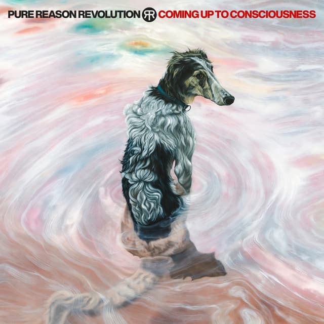 Album cover art for Coming up to Consciousness