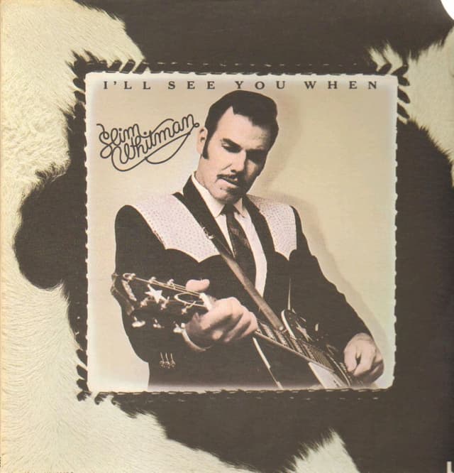 Album cover art for I'll See You When