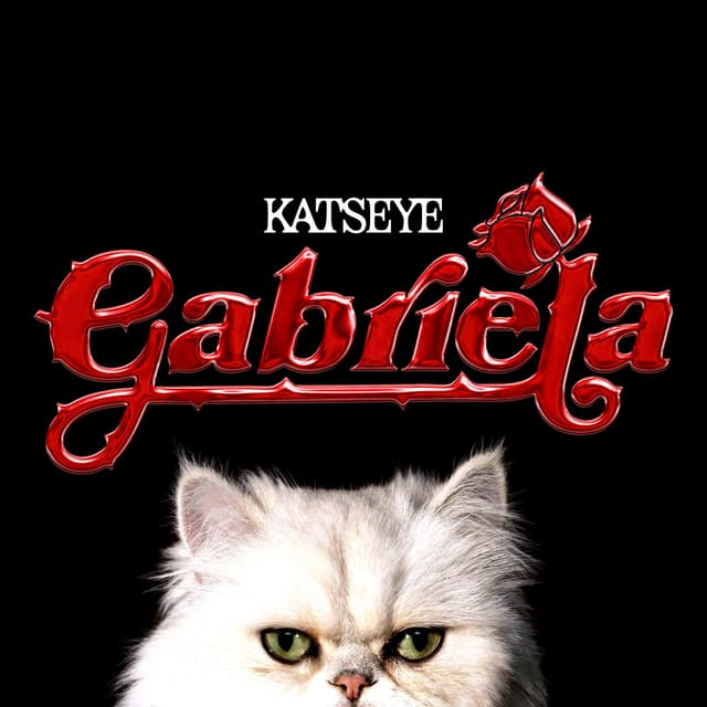 Album cover art for Gabriela