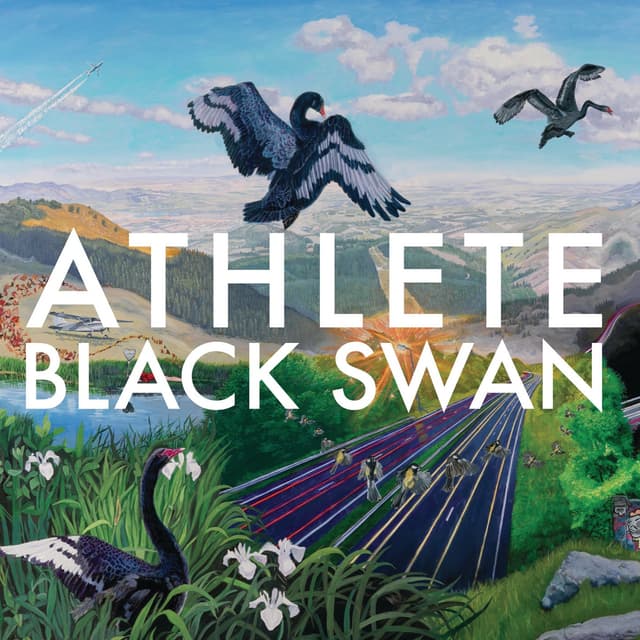 Album cover art for Black Swan