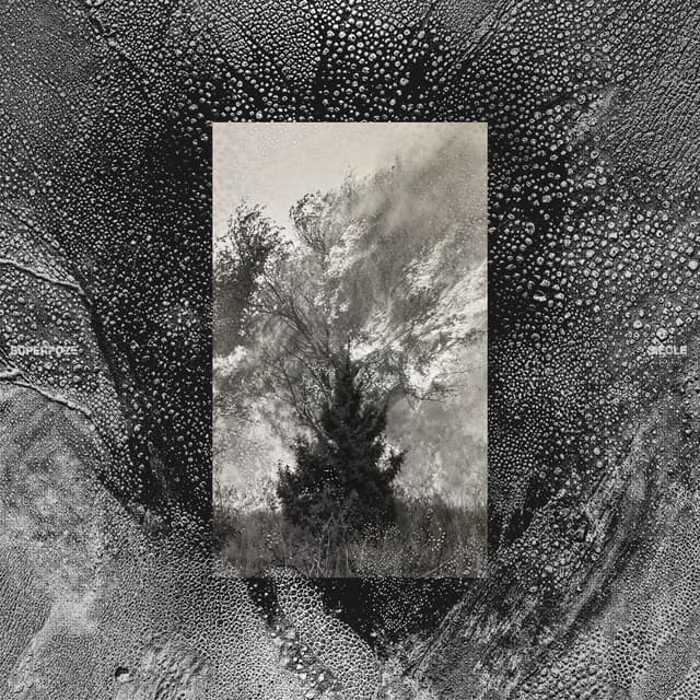 Album cover art for Siècle