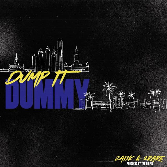 Album cover art for Dump It Dummy