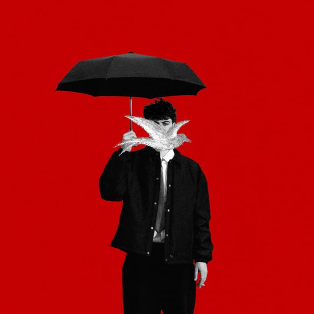 Album cover art for MAUVAIS TIMING